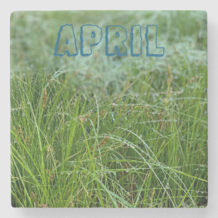 April Steinuntersetzer