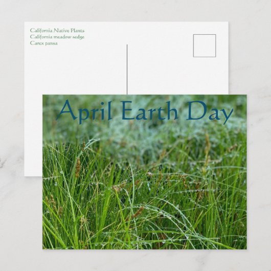 April-Tag der Erde Postkarte (Vorne/Hinten)