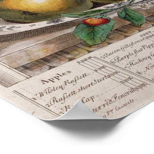 April, "Zwölf Monate Obst" Poster (Ecke)