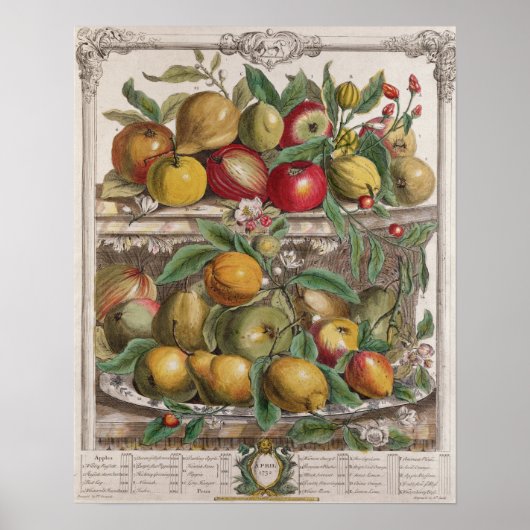 April, "Zwölf Monate Obst" Poster (Vorne)