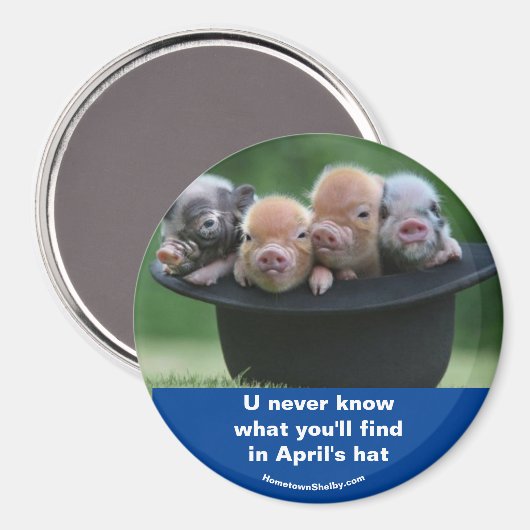 Aprilhut Magnet (Vorderseite/Rückseite)