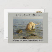 Aprilscherz - Goofy Labrador Postkarte (Vorne/Hinten)