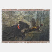 APS, Jagdfasan Decke (Vorderseite)