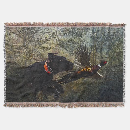 APS, Jagdfasan Decke (Vorderseite)