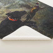 APS, Jagdfasan Sherpadecke (3/4)