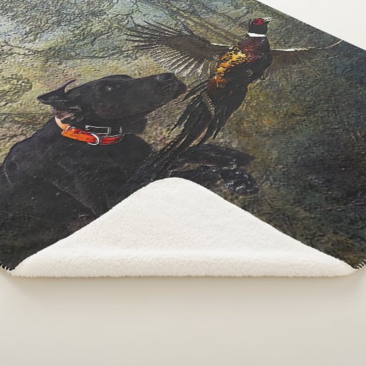 APS, Jagdfasan Sherpadecke (3/4)