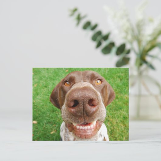 APS Smile Postkarte (Stehend Vorderseite)