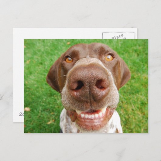 APS Smile Postkarte (Vorne/Hinten)