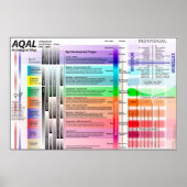 AQAL-Diagramm ED 9 Poster (Vorne)