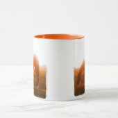 AQHA Pferd, das am Sonnenuntergang weiden lässt Tasse (Zentrum)