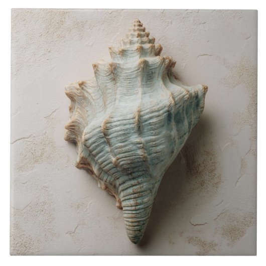 Aqua and Sand Coastal Conch Shell Fliese (Vorderseite)