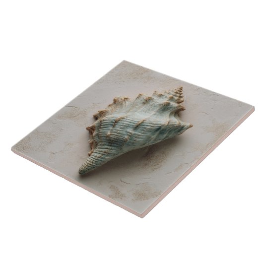 Aqua and Sand Coastal Conch Shell Fliese (Seite)