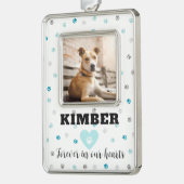 Aqua Aquamarin Blue Personalisiert Pet Rahmen-Ornament Silber (Links)