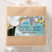 Aqua Beach Orchid (Insitu)