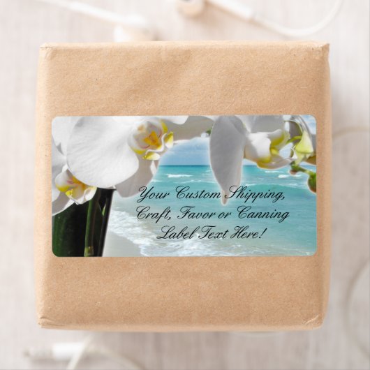 Aqua Beach Orchid (Insitu)