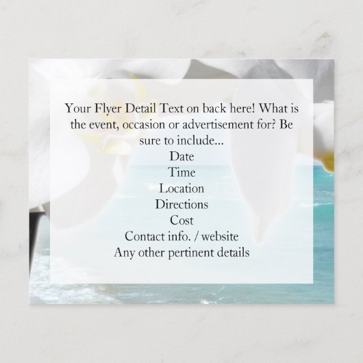 Aqua Beach Orchid Flyer (Hinten)