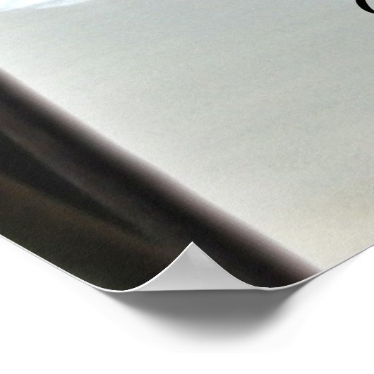 Aqua Beach Orchid Poster (Ecke)