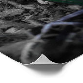 Aqua Blue Crocus Blooms Poster (Ecke)