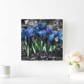 Aqua Blue Crocus Blooms Quadratische Wanduhr (Zuhause)