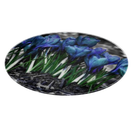 Aqua Blue Crocus Blooms Schneidebrett (Ecke)