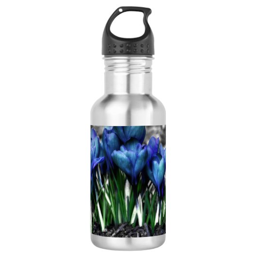 Aqua Blue Crocus Blooms Trinkflasche (Vorderseite)