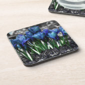 Aqua Blue Crocus Blooms Untersetzer (Linke Seite)