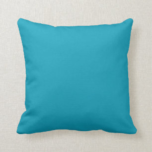 Aqua Blue Green Solid Color - Farbe - Farbe - Farb Kissen