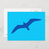 Aqua Blue Gull Postkarte (Vorne/Hinten)