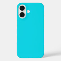 Aqua Blue Handycase