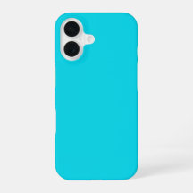 Aqua Blue Handycase