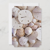 Aqua Blue Sand Dollar Hochzeitseinladungen Einladung (Rückseite)