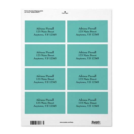 Aqua Blue Simple Schlicht Shipping Labels (Vorne)