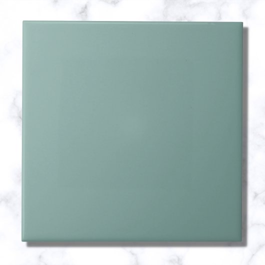 Aqua Blue Solid Color Fliese