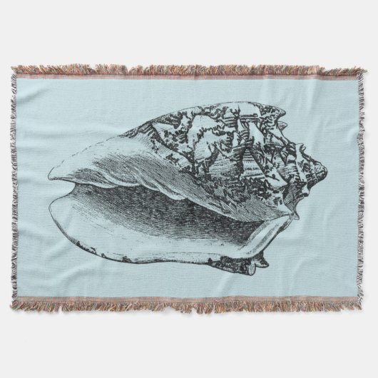 Aqua Conch Muschel Decke (Vorderseite)