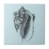 Aqua Conch Muschel Fliese (Vorderseite)