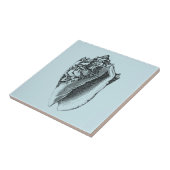 Aqua Conch Muschel Fliese (Seite)