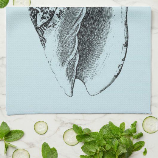 Aqua Conch Muschel Geschirrtuch (Gefaltet)