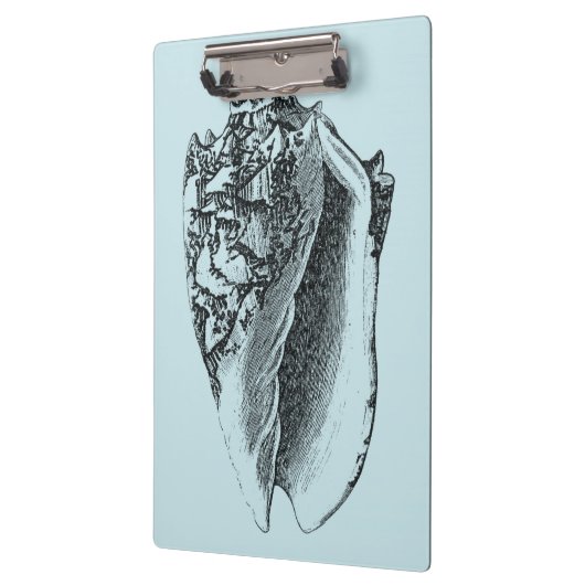 Aqua Conch Muschel Klemmbrett (Links)