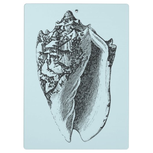 Aqua Conch Muschel Klemmbrett (Rückseite)