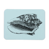 Aqua Conch Muschel Magnet (Horizontal)