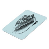 Aqua Conch Muschel Magnet (Linke Seite)