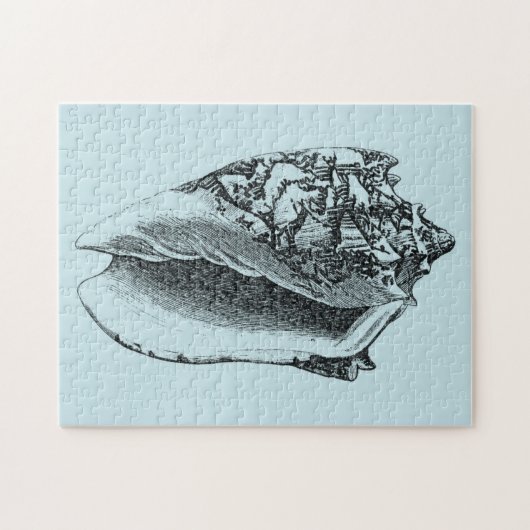 Aqua Conch Muschel Puzzle (Horizontal)