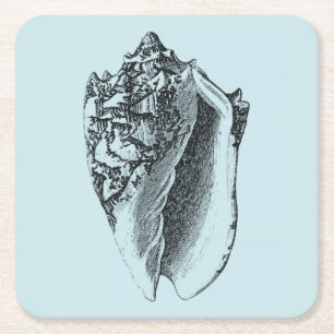 Aqua Conch Muschel Rechteckiger Pappuntersetzer