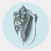 Aqua Conch Muschel Runder Aufkleber (Vorderseite)
