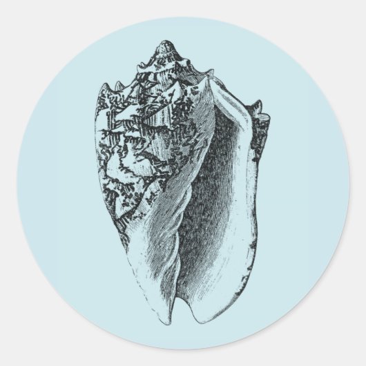 Aqua Conch Muschel Runder Aufkleber (Vorderseite)
