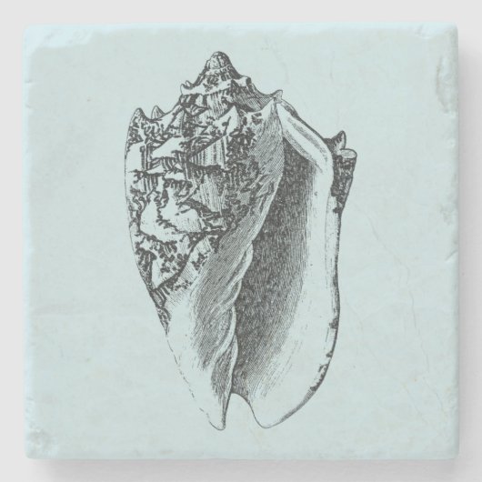 Aqua Conch Muschel Steinuntersetzer (Vorderseite)