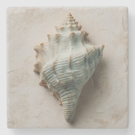 Aqua Conch Shell Coastal Art Steinuntersetzer (Vorderseite)