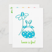 Aqua Daisy Bunny Einladung zum Geburtstag (Vorne/Hinten)
