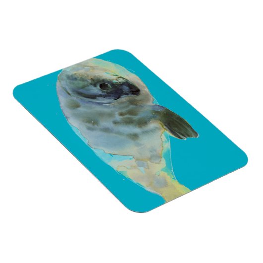 Aqua Green Magnet (Rechte Seite)