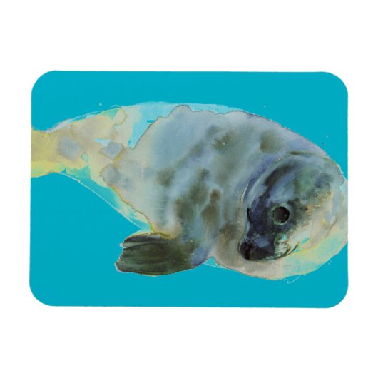 Aqua Green Magnet (Horizontal)